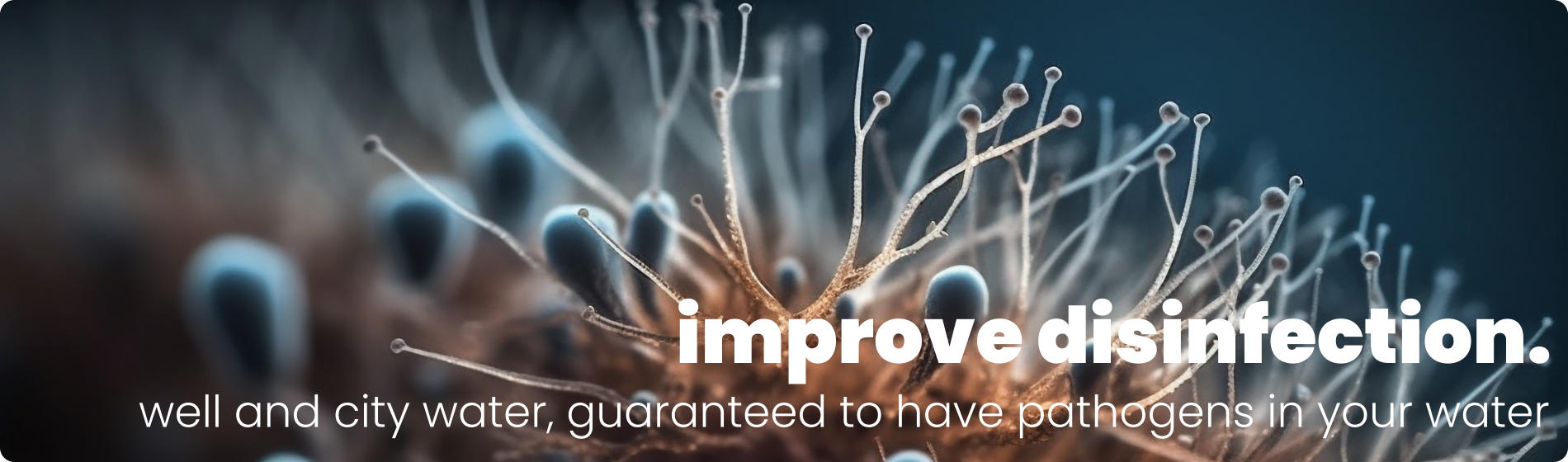 disinfect well and city water