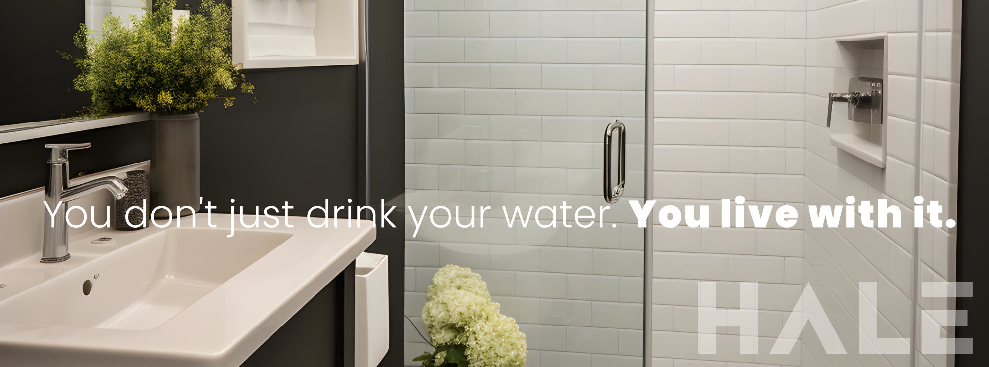 2 bathroom water filter whole house