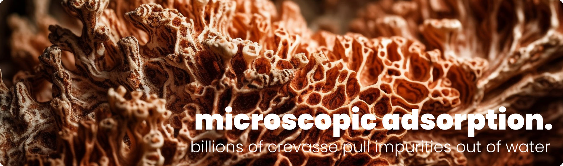 Colorful cnidarian coral with poison filled tentacles generated by artificial intelligence