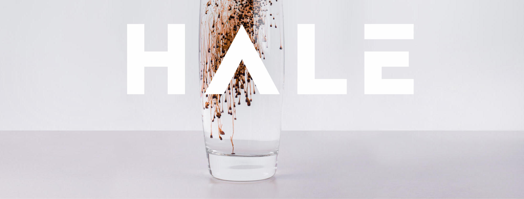 Glass of water with dark liquid on white background. High quality photo