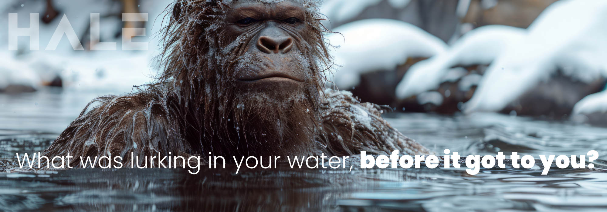 bigfoot lurking in your water filter clean hale