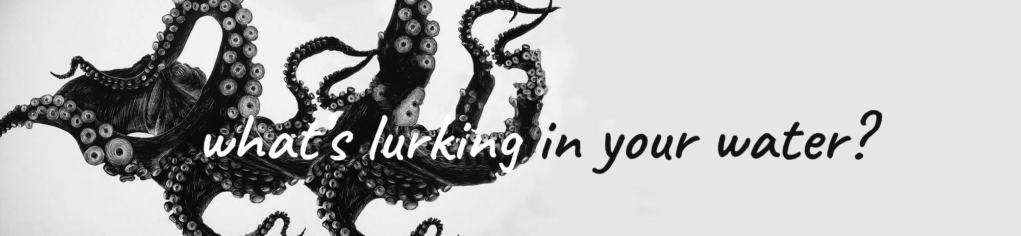 HALE water filter - what is lurking in your water