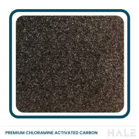 Jacobi Granular AC (Chloramine Focus)