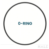 O-Rings